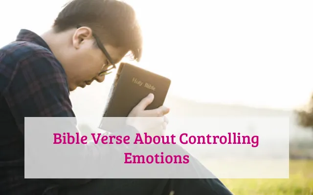 Bible Verse About Controlling Emotions