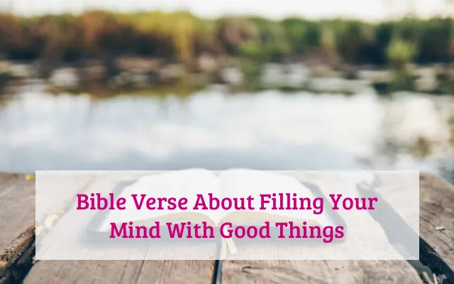 Bible Verse About Filling Your Mind With Good Things