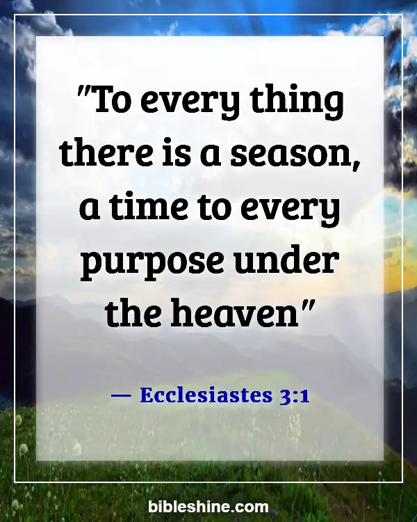 Bible Verses About God's Timing (Ecclesiastes 3:1)