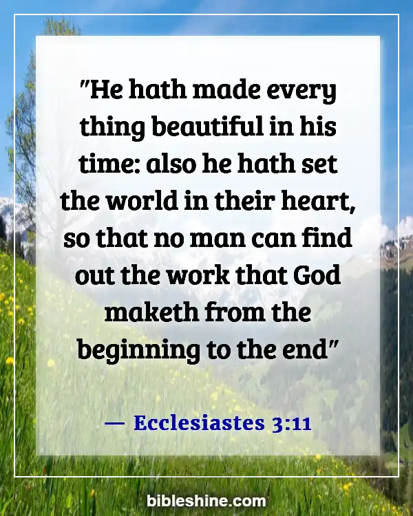 Bible Verses About God's Timing (Ecclesiastes 3:11)