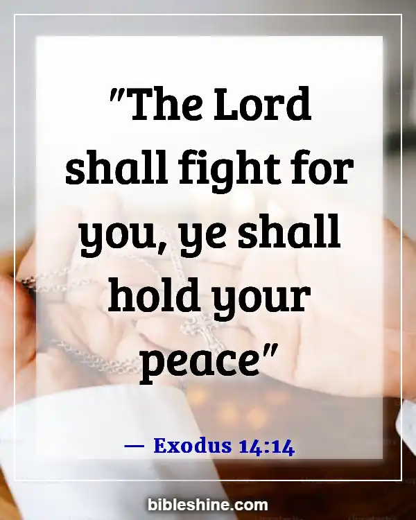 Bible Verses God Will Fight For You (Exodus 14:14)