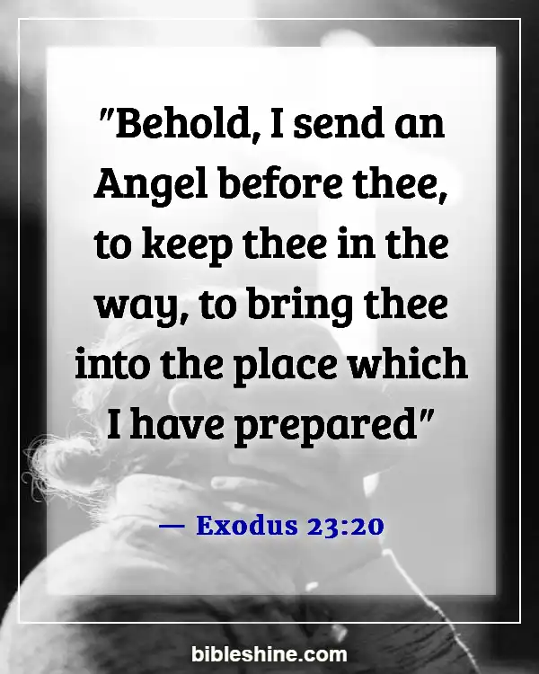 Bible Verses About Angels Rejoice In Heaven (Exodus 23:20)