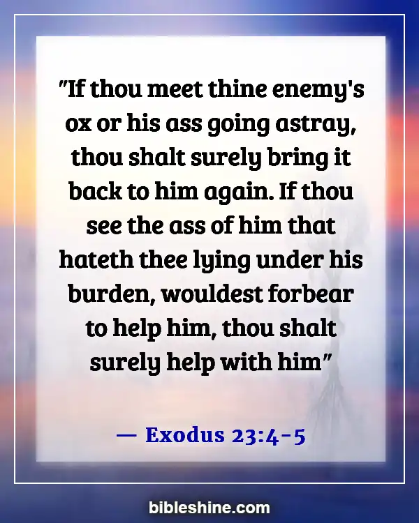 Bible Verses About Revenge (Exodus 23:4-5)