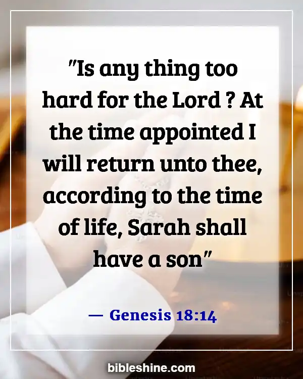 Bible Verses About God's Timing (Genesis 18:14)