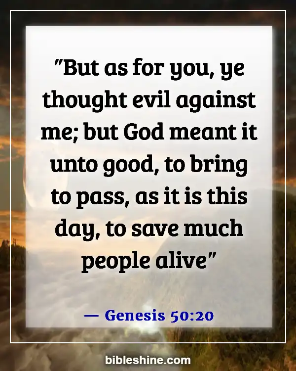 Bible Verses About God's Plans (Genesis 50:20)