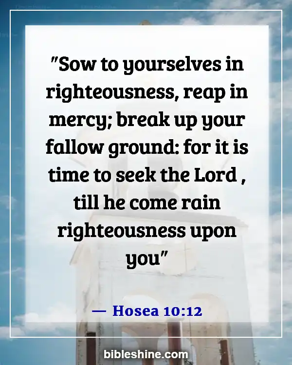 Bible Verses About Seeking God (Hosea 10:12)