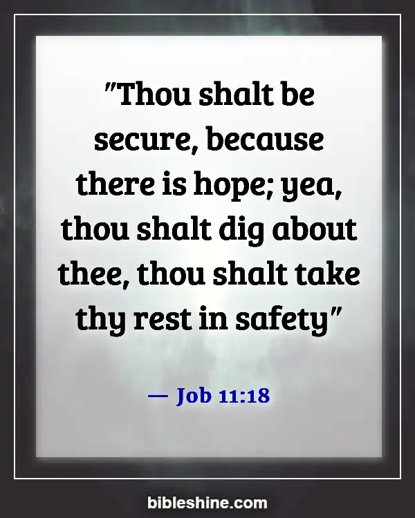 Bible Verse About Hope For The Future (Job 11:18)