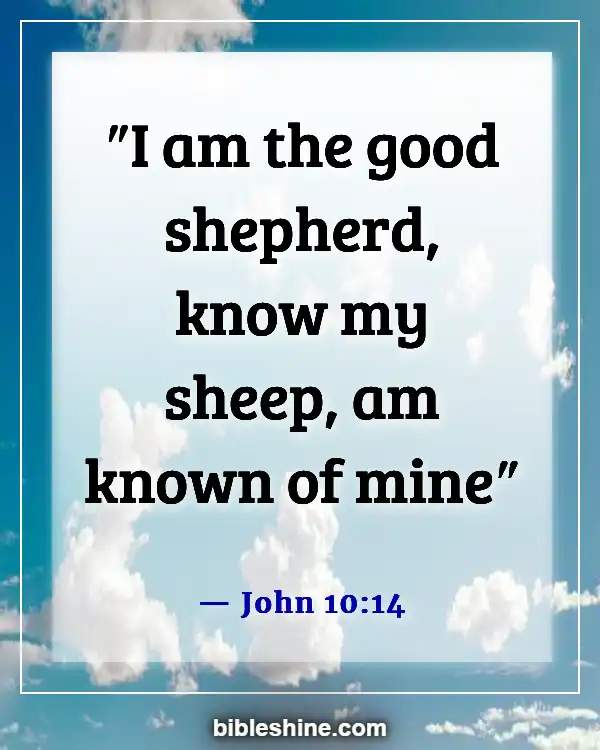 Bible Verses About Knowing God (John 10:14)