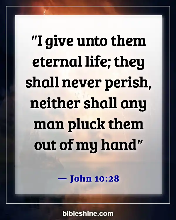 Bible Verses About For Eternal Life (John 10:28)