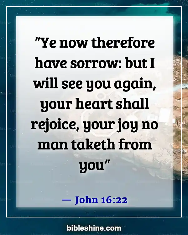 Bible Verses About Missing A Loved One (John 16:22)