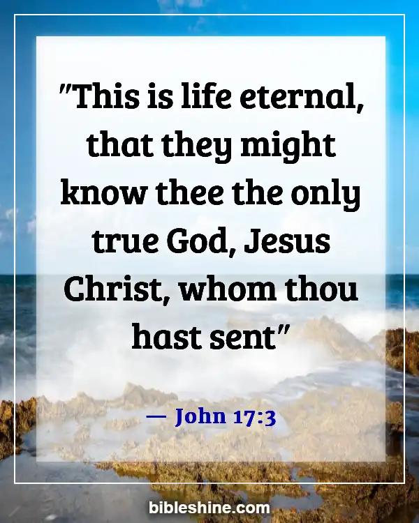 Bible Verses About For Eternal Life (John 17:3)