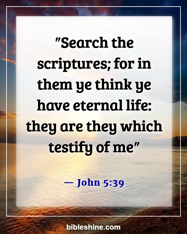 Bible Verse About Testimony (John 5:39)