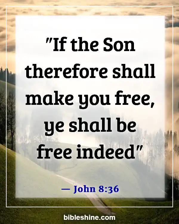 Bible Verses On Assurance Of Salvation (John 8:36)