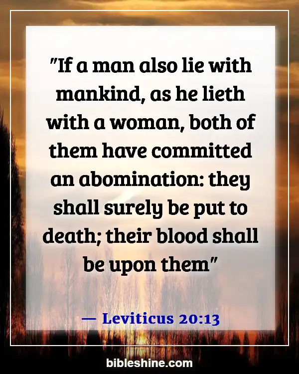 Bible Verses About Abomination (Leviticus 20:13)