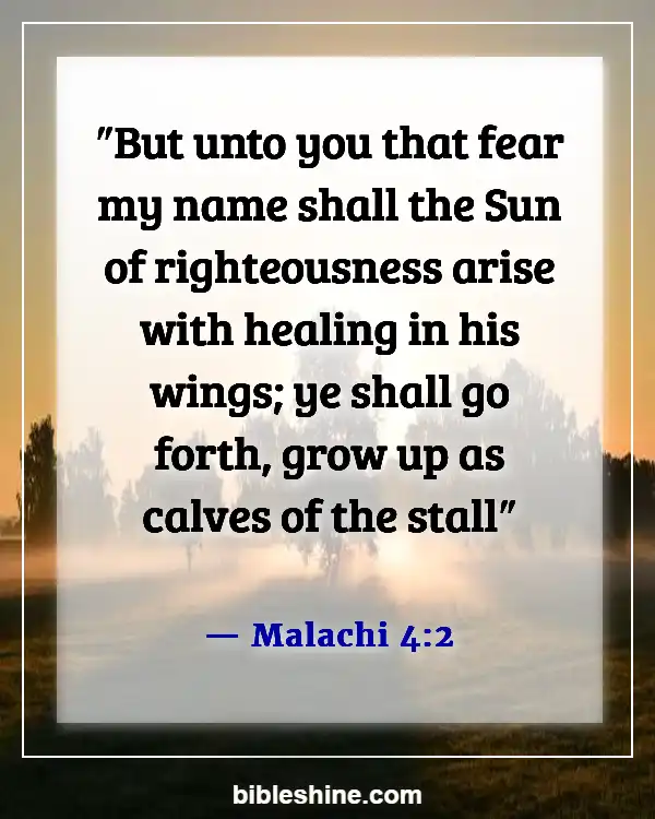 Bible Verses About New Beginnings (Malachi 4:2)