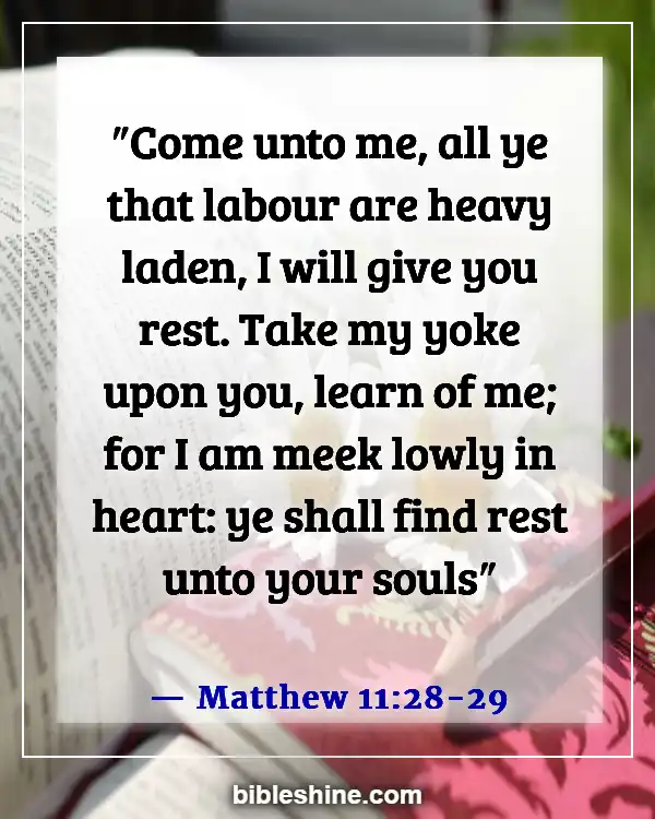 Bible Verses About Hardship (Matthew 11:28-29)