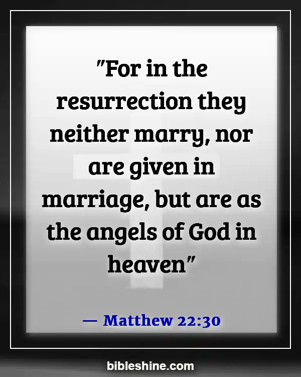 Bible Verses About Being Reunited With Loved Ones In Heaven (Matthew 22:30)