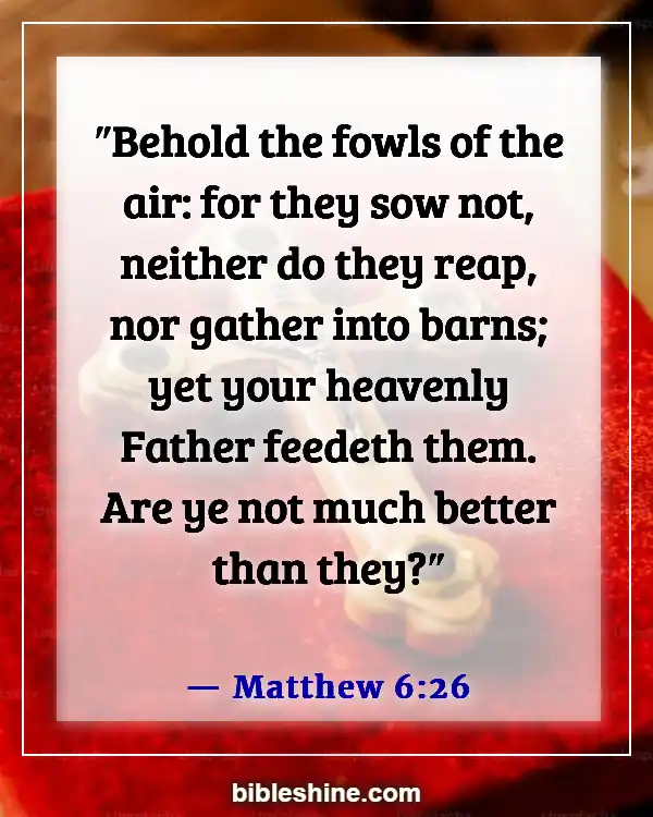 You Are Valuable To God Bible Verses (Matthew 6:26)