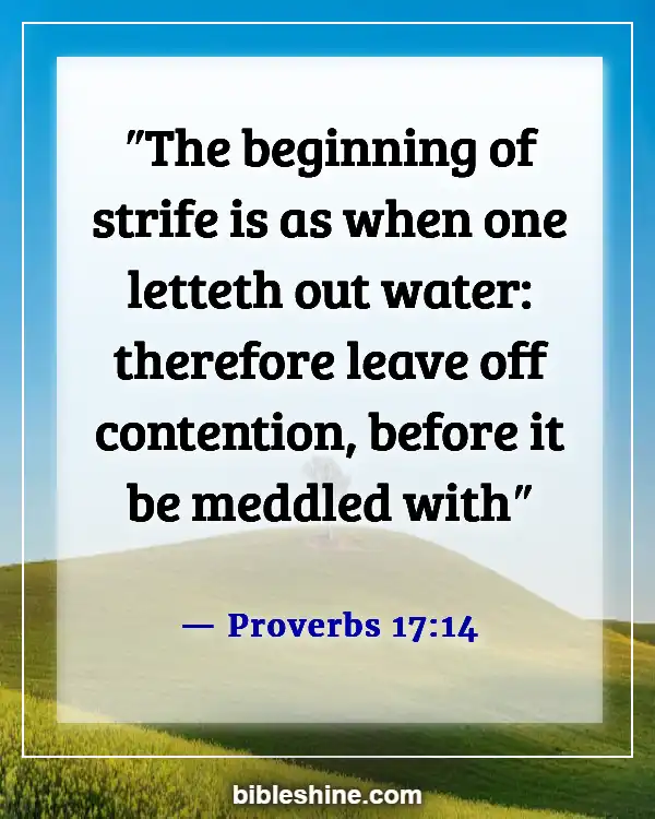 Bible Verses About Conflict Resolution (Proverbs 17:14)