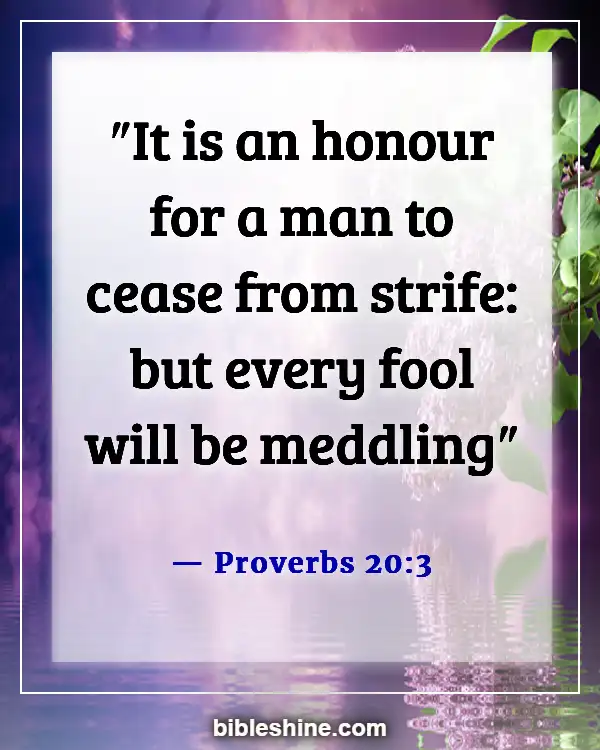 Bible Verses About Bad Behavior (Proverbs 20:3)