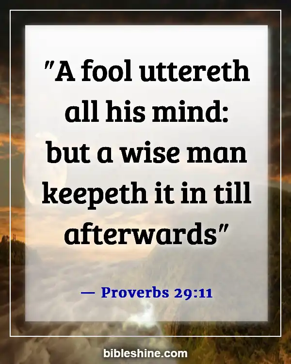 Bible Verse About Controlling Emotions (Proverbs 29:11)