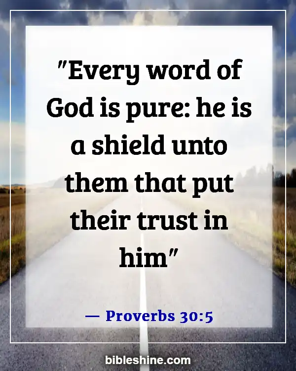 Bible Verses God Will Make A Way (Proverbs 30:5)