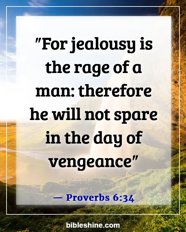 Bible Verses About Jealousy And Envy (Proverbs 6:34)