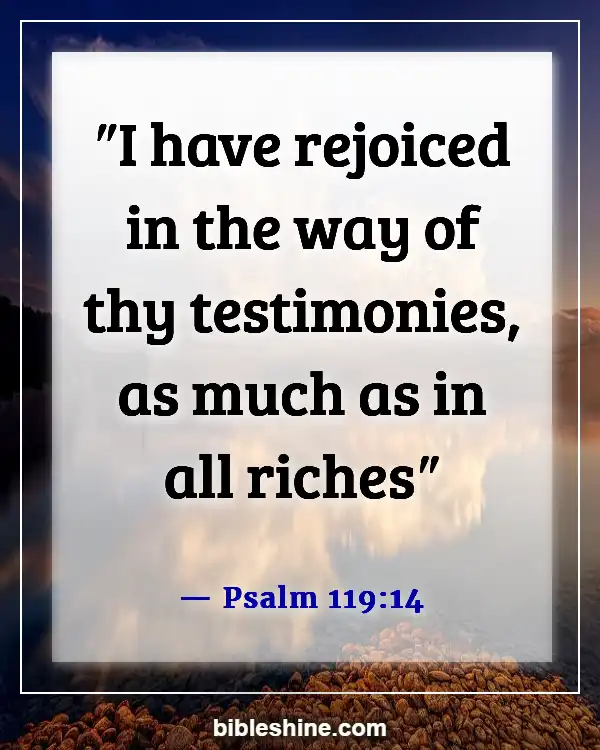 Bible Verse About Treasure In Heaven (Psalm 119:14)