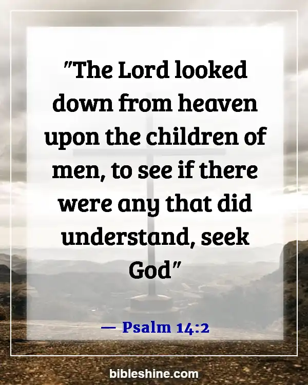 Bible Verses About Seeking God (Psalm 14:2)