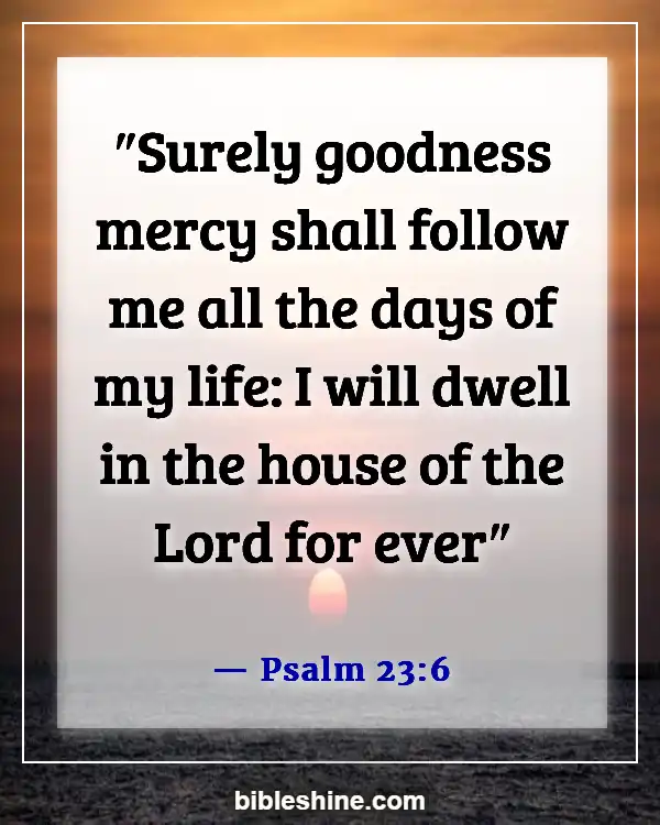 Bible Verses About Gods Mercy (Psalm 23:6)