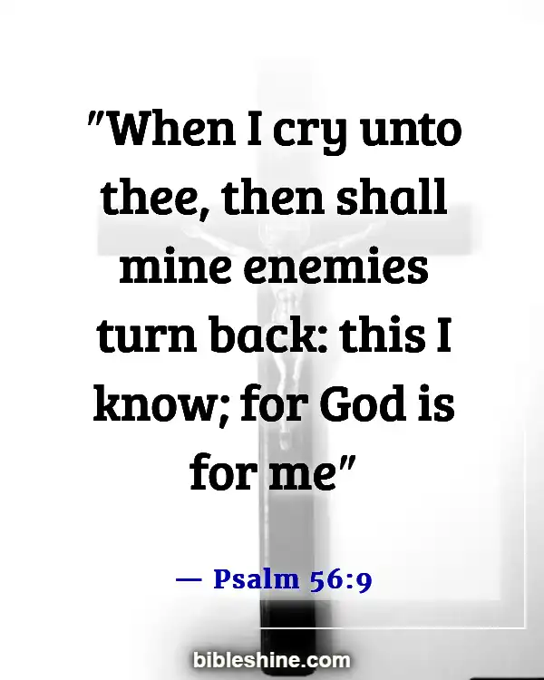 Bible Verses About God Hears Our Prayers (Psalm 56:9)