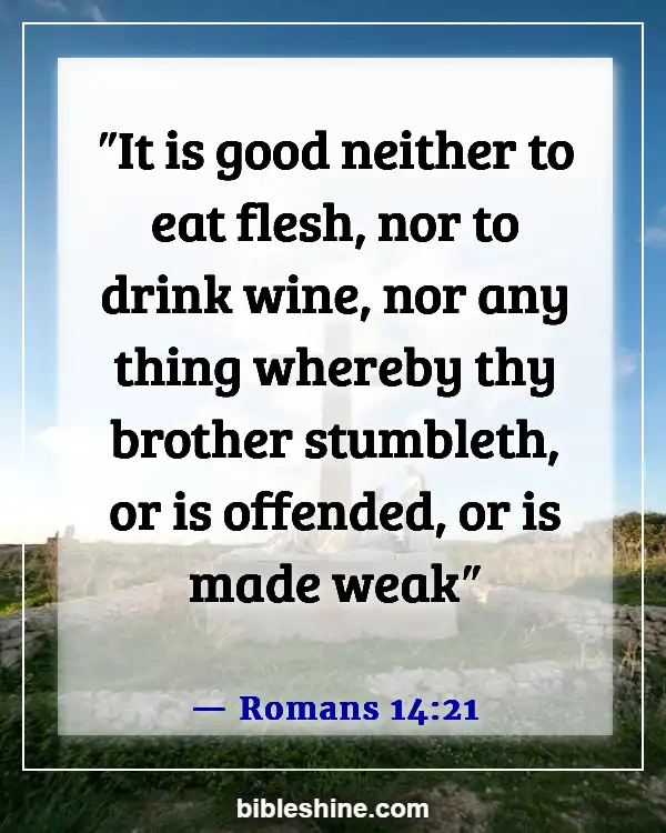 Bible Verses About Warning Drinking Wine And Alcohol (Romans 14:21)