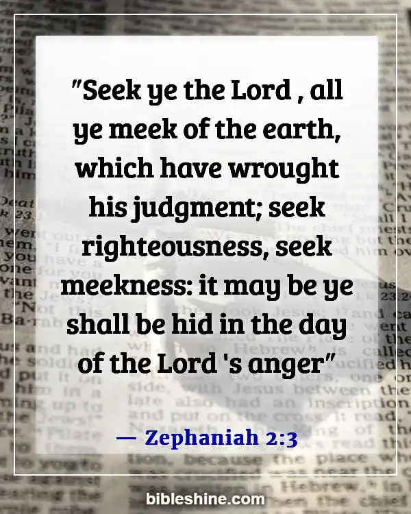 Bible Verses About Seeking God (Zephaniah 2:3)