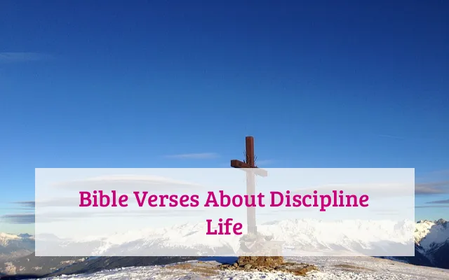 Bible Verses About Discipline Life