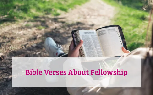 Bible Verses About Fellowship