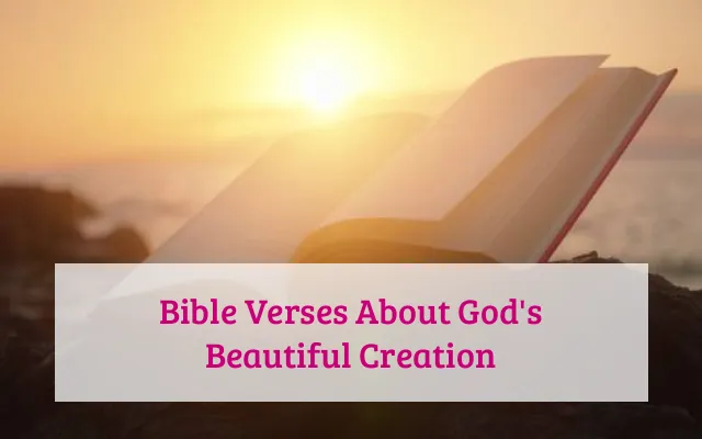 Bible Verses About God's Beautiful Creation