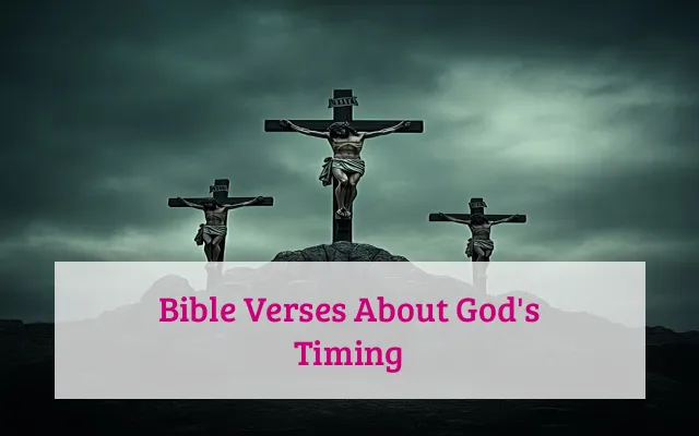 Bible Verses About God's Timing