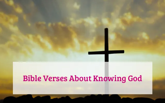 Bible Verses About Knowing God