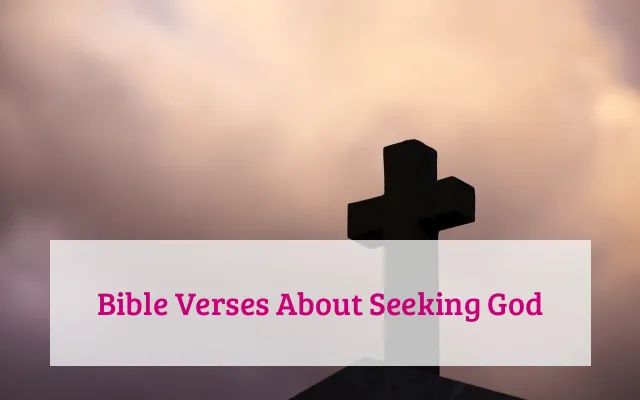 Bible Verses About Seeking God