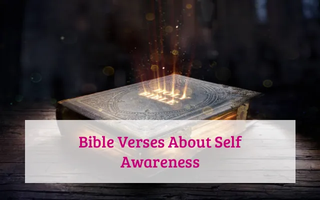 Bible Verses About Self Awareness