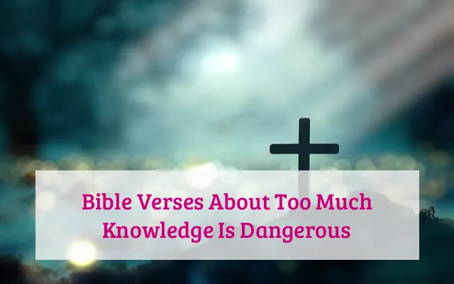 Bible Verses About Too Much Knowledge Is Dangerous