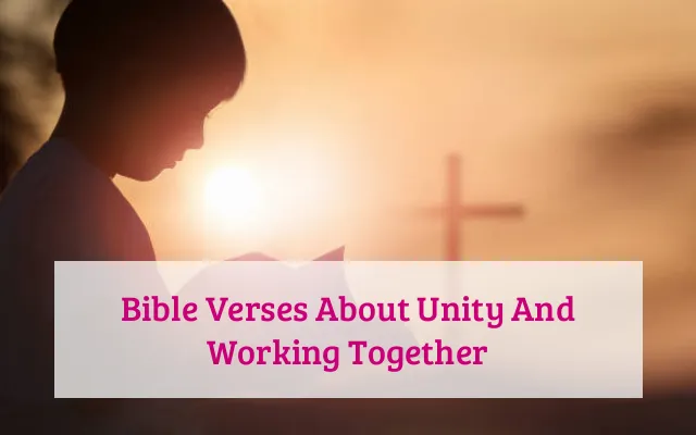 Bible Verses About Unity And Working Together